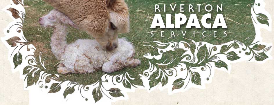 Riverton Alpaca Services